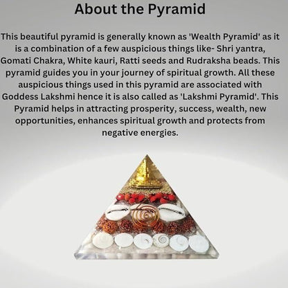 Munafa Crystal Wealth Gomati Chakra Shree Yantra Pyramid