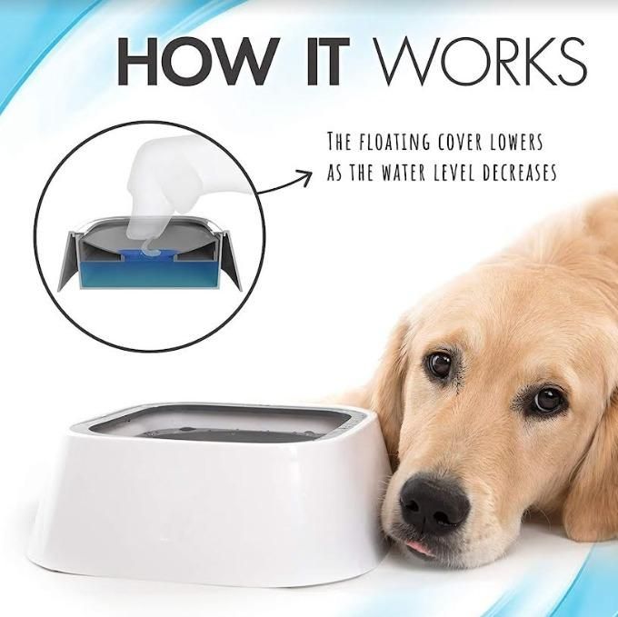 Munafa Pet Bowl Floating Anti-Overflow