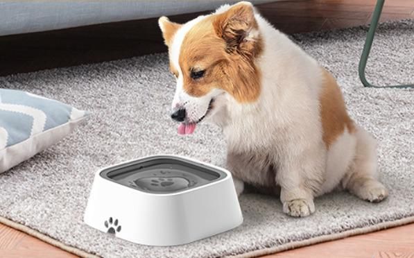 Munafa Pet Bowl Floating Anti-Overflow