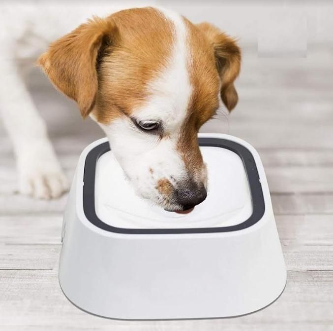 Munafa Pet Bowl Floating Anti-Overflow
