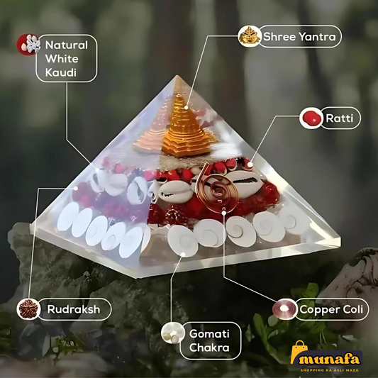 Munafa Crystal Wealth Gomati Chakra Shree Yantra Pyramid